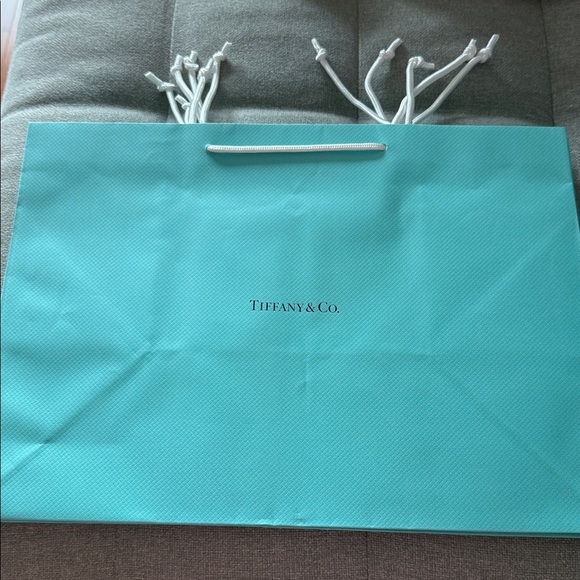Tiffany & Co. Shopping Bags - large - Picture 2 of 2